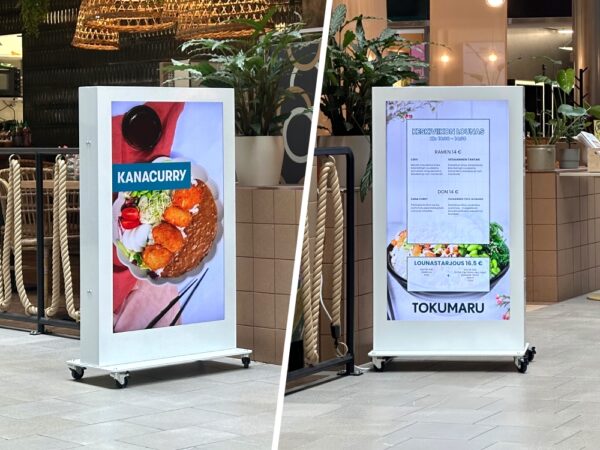 Kaksipuoleinen digitaalinen pyloni
